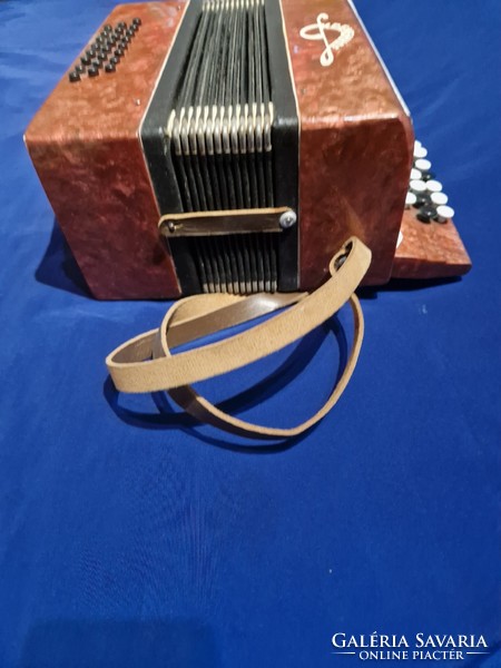 Kpemehhoe accordion child size