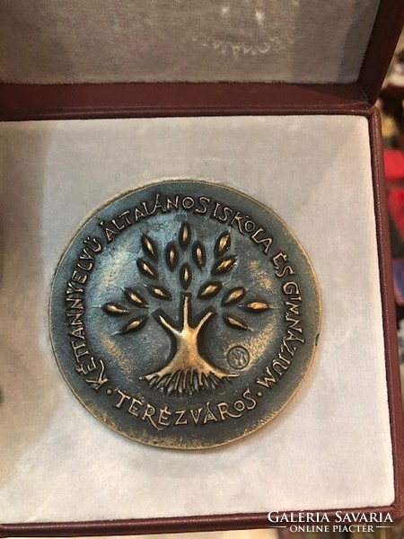 Bronze commemorative plaque, excellent piece for collectors, rarity. Terézváros school