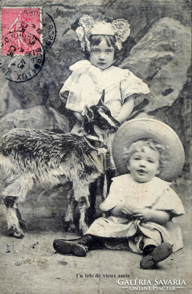 Antik fotó képeslap  kisgyerekek kiskecskével