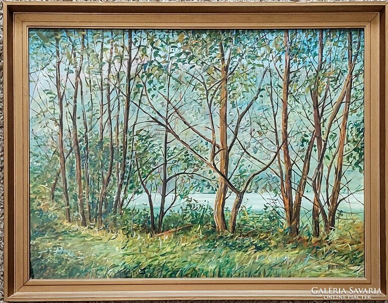 Orvos András - Erdőrészlet olajfestmény 80 x 60 cm