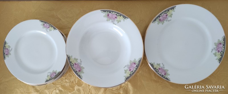 Pirkenhammer porcelain plate set, tableware elements, flower pattern, with peony decor 16 pcs
