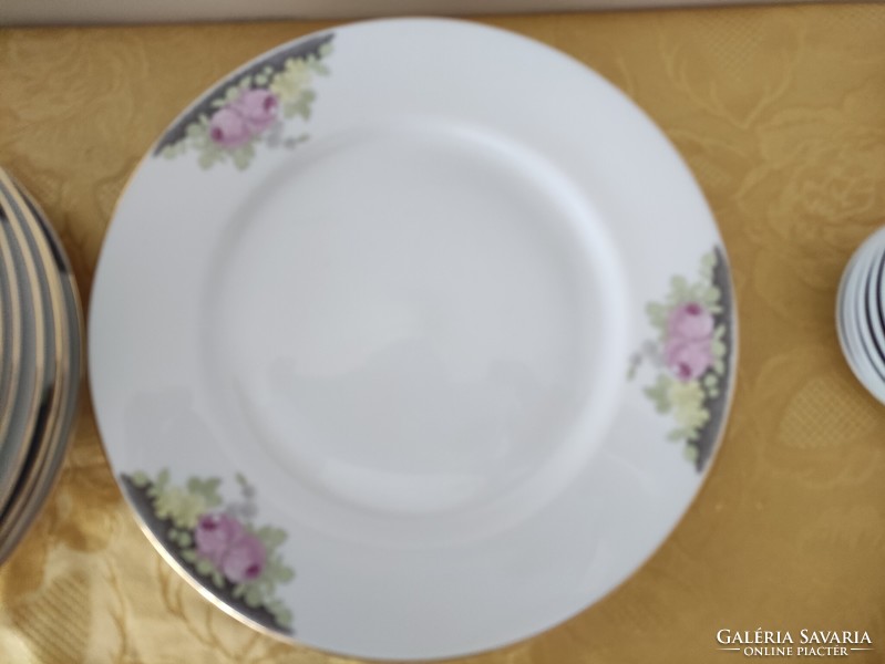 Pirkenhammer porcelain plate set, tableware elements, flower pattern, with peony decor 16 pcs
