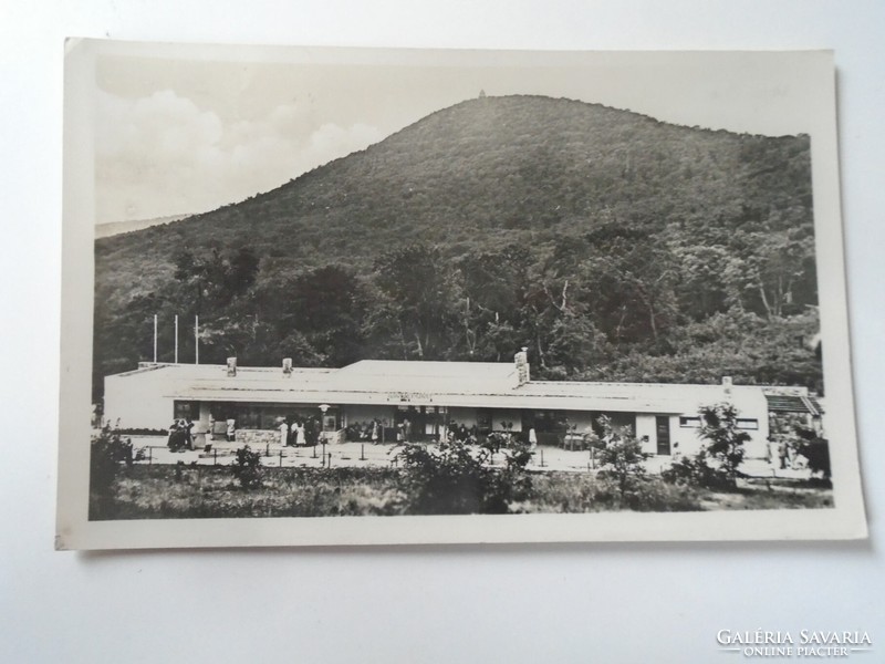 D195384  Régi képeslap  Úttörő Gyermekvasút -Ságvári liget -vasútállomás  1955k