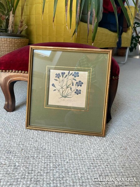 Lithograph blue flower print in frame glazed with passepartout