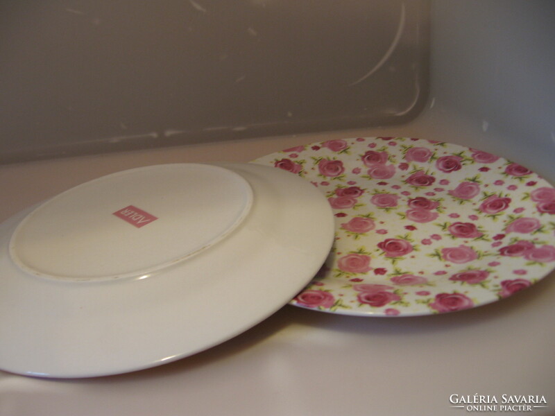 English adler porcelain pink rose plate