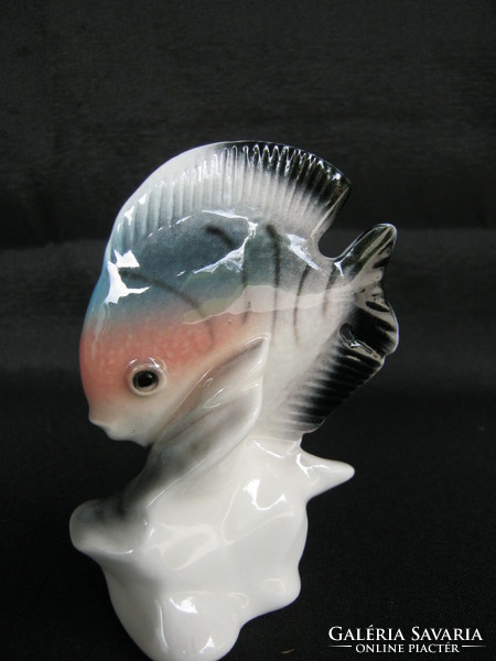 Porcelán hal
