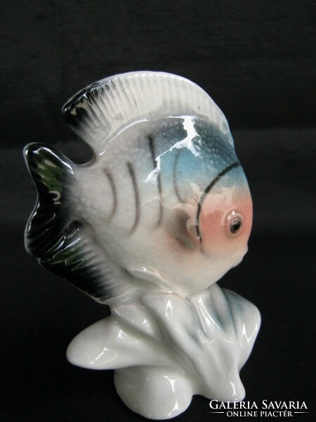 Porcelán színes tengeri hal diszkoszhal