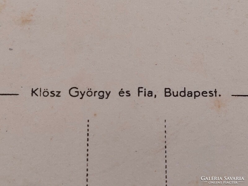 Old propaganda postcard Hungarian grape advertising postcard