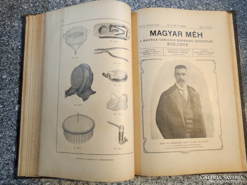Tanos Pál : Magyar Méh. A Magyar Országos Méhészet Egyesület Közlönye 1905. Teljes évfolyam