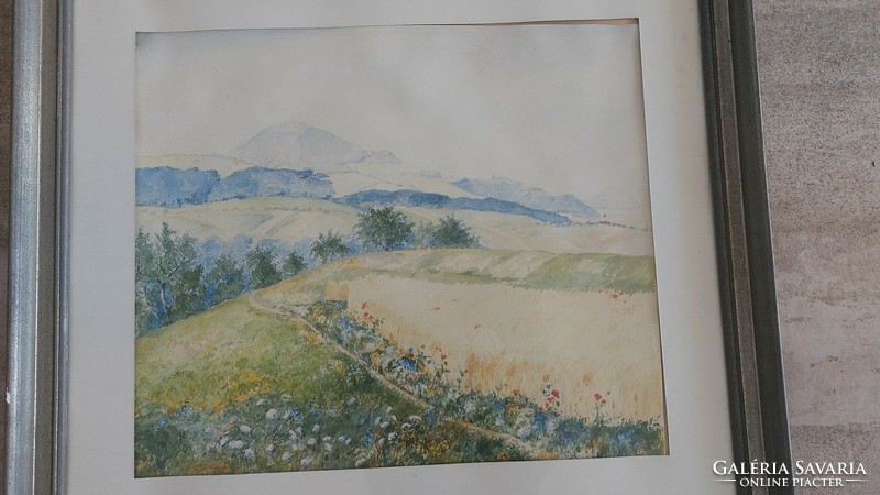 K) old watercolor painting blooming meadow in the distance with mountains 56x51 cm frame, signed.