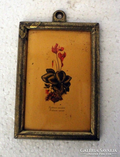 Tiny picture in a copper frame