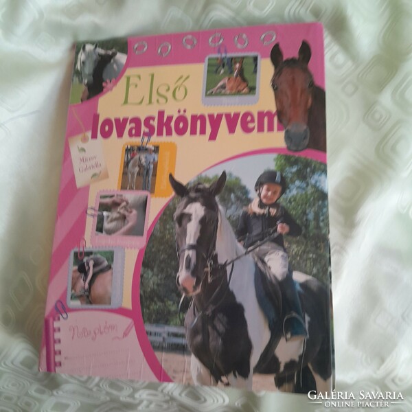 My first horse book
