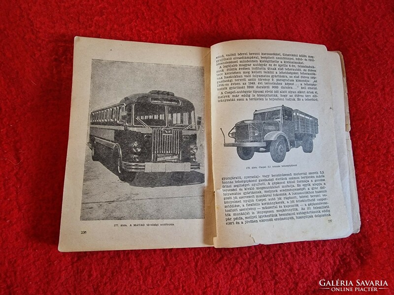 Otto Wittenberg's basic driving textbook book