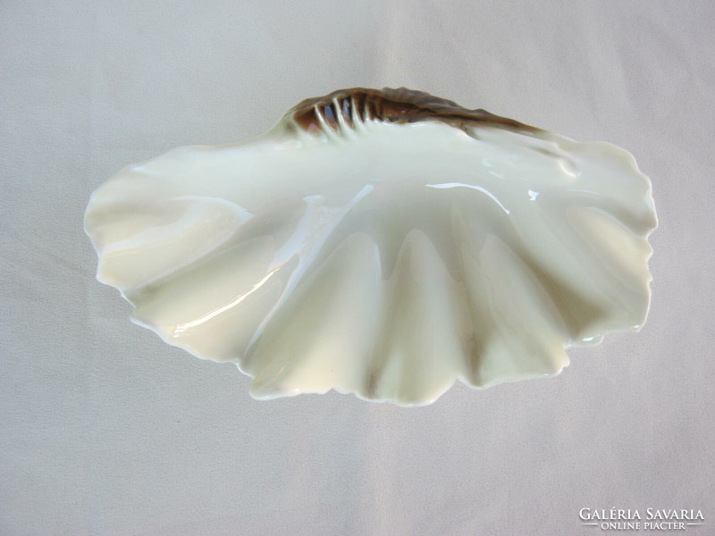 Hollóháza porcelain sea shell