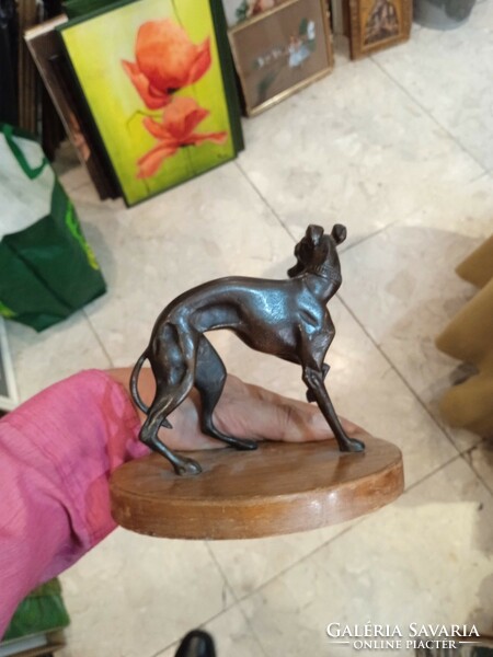 Greyhound statue in bronze, size 14 x 16 cm, for collectors.