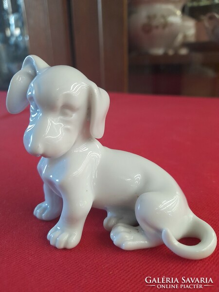 Rare augarten wien austria sitting dachshund dog porcelain figurine.