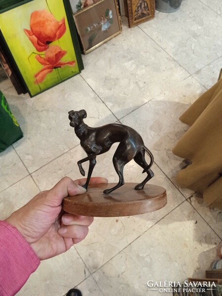 Greyhound statue in bronze, size 14 x 16 cm, for collectors.