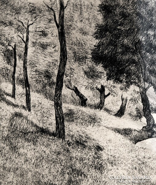 István Biai föglein (1905-1974): waterfront trees - etching, framed