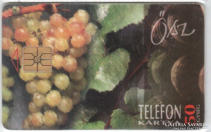 Hungarian phone card 1062 1995 autumn gem 2 no moreno lower black serial number 48,000 Pcs