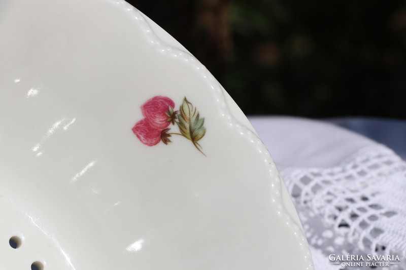 Porcelain fruit washer, filter bowl