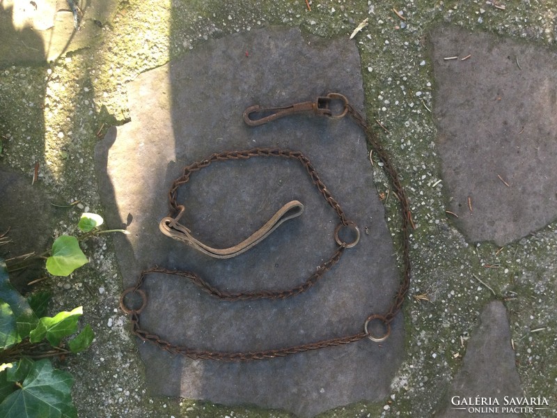 Old chain leash