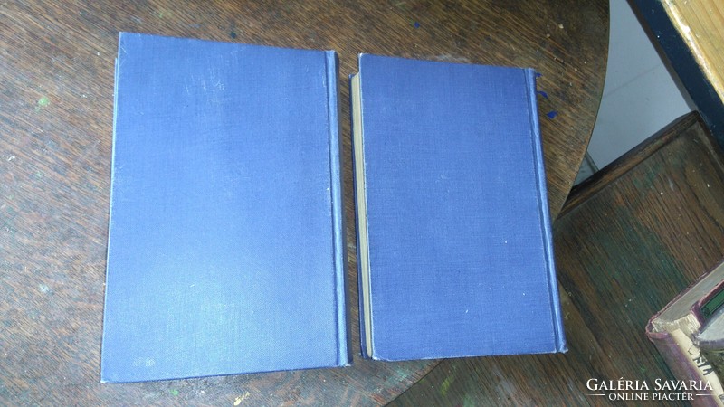 1929 Dante Mereskovsky: Leonardo da Vinci I.-II. (In two volumes)