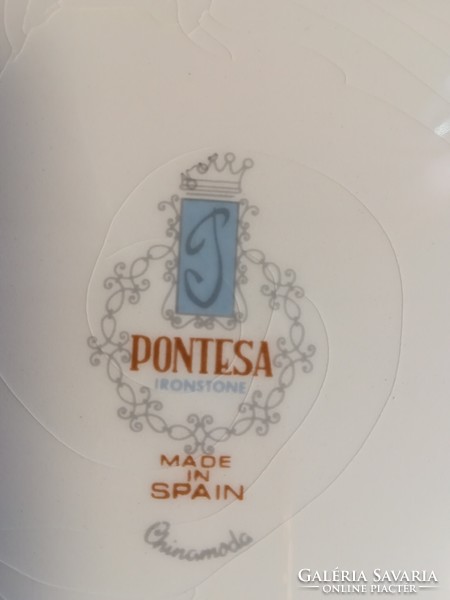 Spanyol porcelán tányér, 26 cm átmérőjű színes madár motívummal