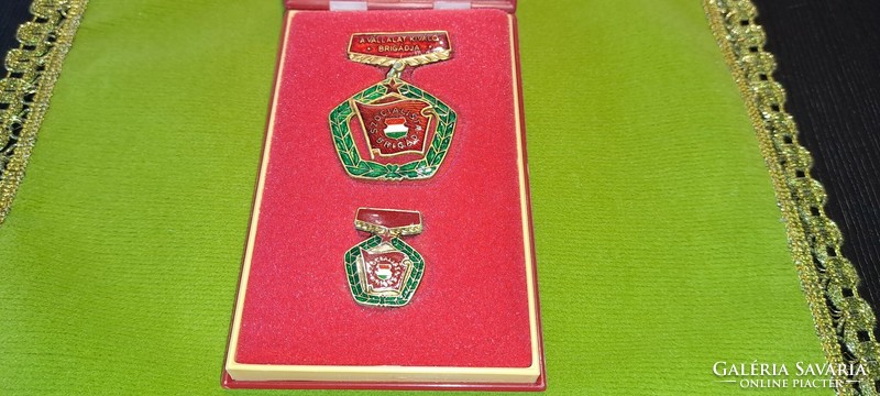 The company's excellent brigade with plaque + badge mini in a box