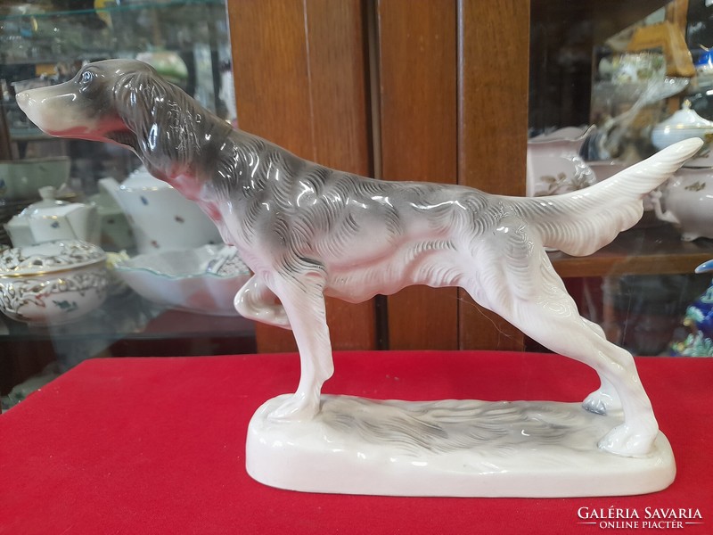 German, germany katzhütte hertwig & co 1958-1990, Irish setter porcelain dog figurine. 19 Cm.