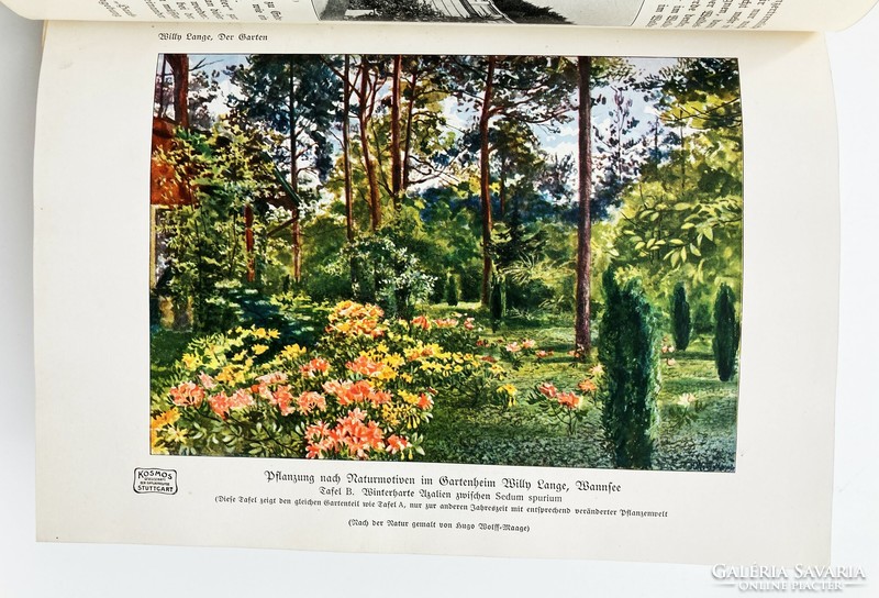 The garden and its plants, 1913 - a richly illustrated antique book