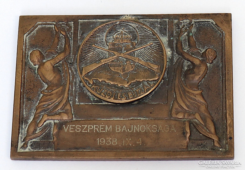 Bronze plaques, irredenta