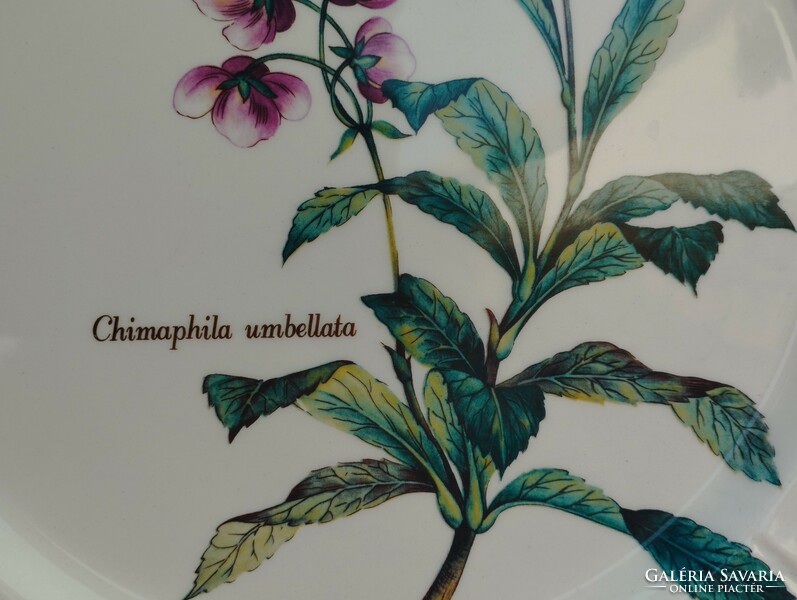 Növényhatározós porcelán nagy lapos kínáló tál, asztalközép