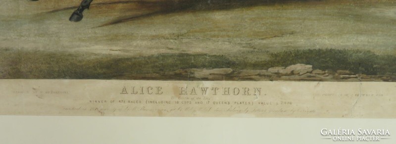 F. C. Turner-G. A. Turner : "Alice Hawthorn"