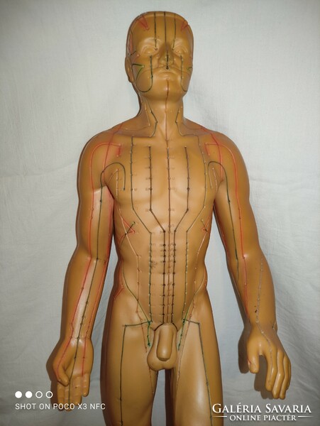 Vintage SEIRIN nagy méretű akupunktúrás pontokat jelölő férfi baba üreges gumiból