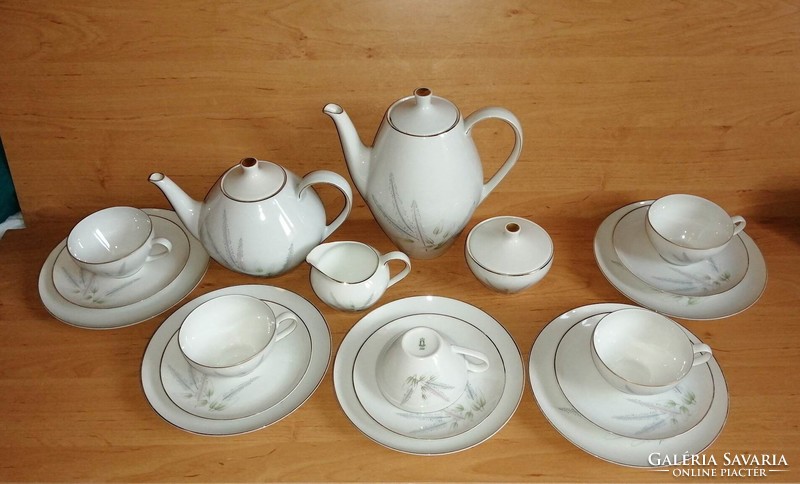 Schönwald porcelain coffee, tea and breakfast set for 5 people 2 jugs (z-7,12/k)