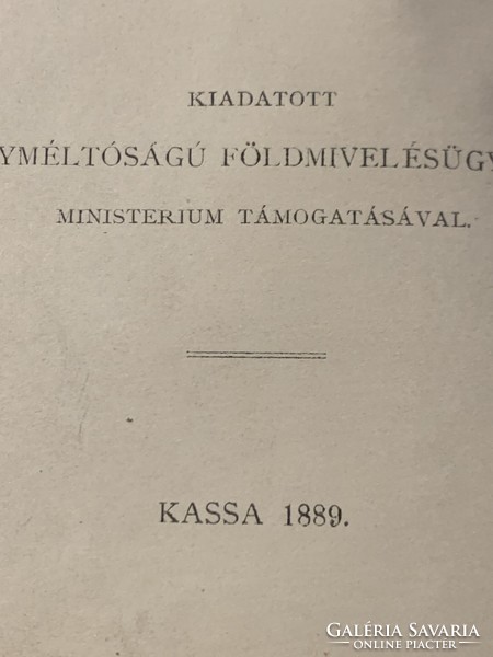 Rodiczky Jenő: Az ipari növények kézikönyve  II. 1889 KASSA   RITKA !!!
