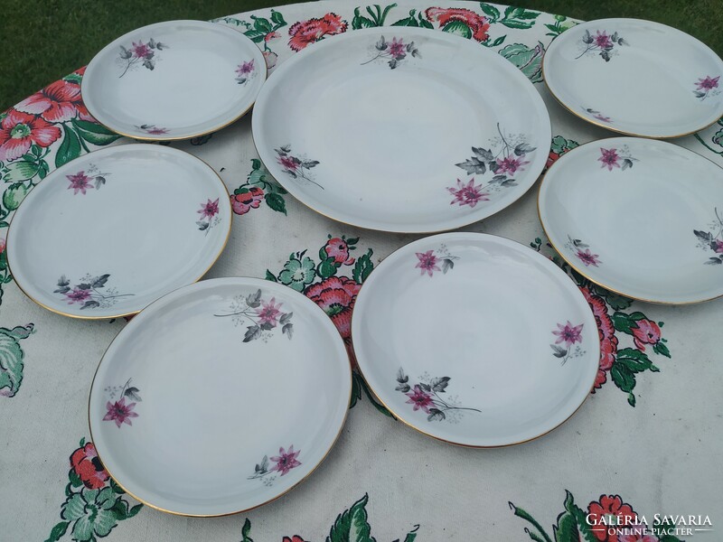 Alföldi porcelain cake set for sale! Bella style purple flower plates, display case condition!