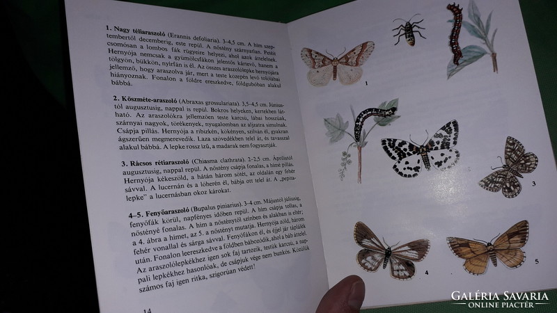 1977. Zoltán Kalmár: - diver's pocket books - picture book of butterflies according to the pictures