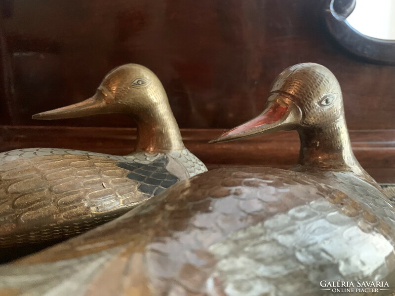 A wonderful bronze duck