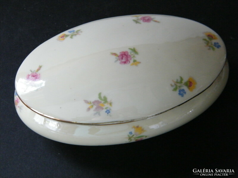 Limoges porcelain oval bonbonier with lid, box