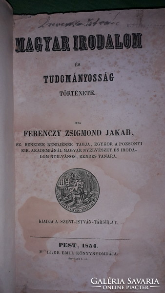 1854.Ferenczy Zsigmond Jakab: Magyar irodalom és tudományosság története könyv RITKA a képek szerint