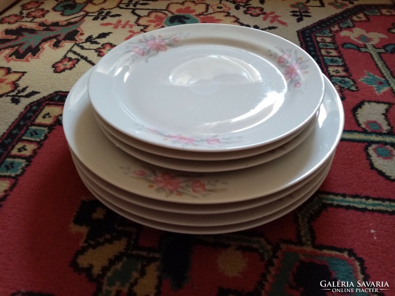 Lubiana Polish plates