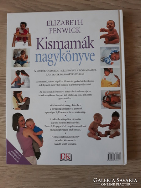 Elizabeth fenwick - big book of expectant mothers