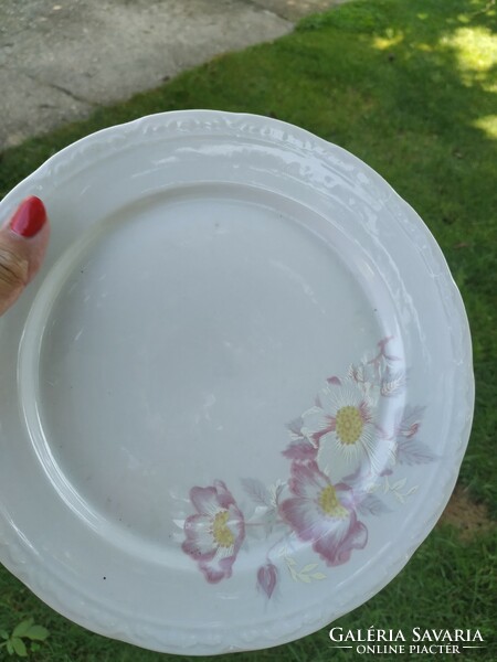 Apulum porcelain plate for sale! Tableware for replacement