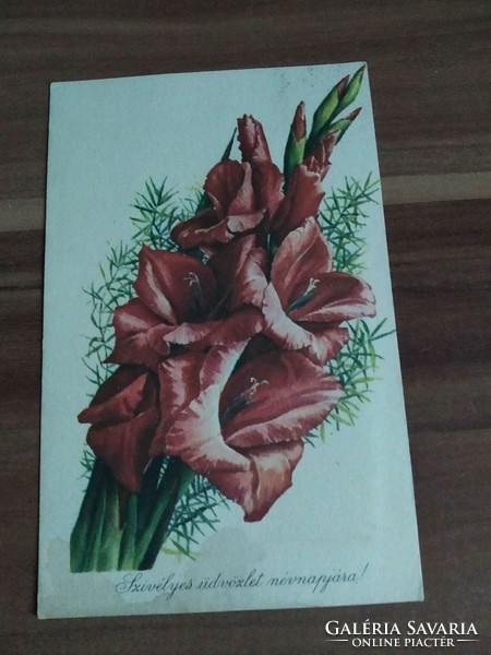 Régi virágos képeslap,kardvirág, rajz: Stremitzer Konrádné, 1960-as évek körüli