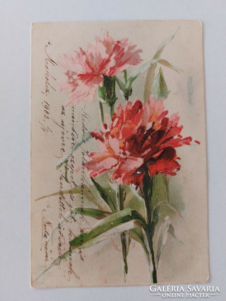 Old postcard 1902 floral postcard carnation