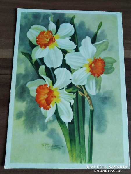 Old Russian floral postcard, daffodil, circa 1960s