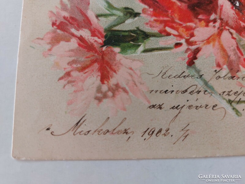 Régi képeslap 1902 virágmintás levelezőlap szegfű