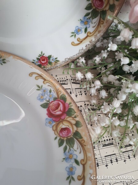 Winterling Bavaria rózsás tányér