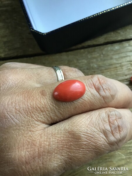 Antique kaboson polished noble coral stone, reserved